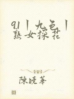 91丨九色丨老熟女探花
