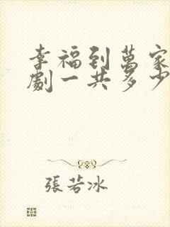 幸福到万家电视剧一共多少集