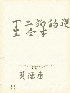 丁二狗的逆袭人生 全本