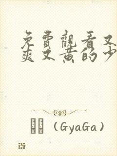 免费观看又色又爽又黄的少妇