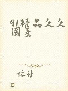 91精品久久久国产
