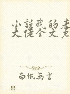 小说我的老公是大佬全文免费阅读封面