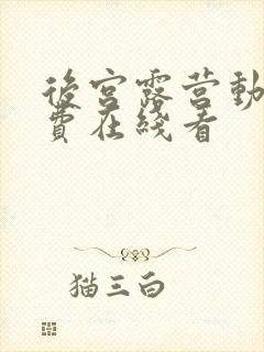 后宫露营动漫免费在线看