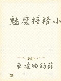 魅魔榨精小说