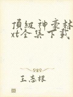 顶级神豪林云txt全集下载封面