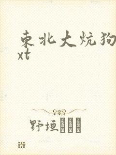 东北大炕狗儿txt
