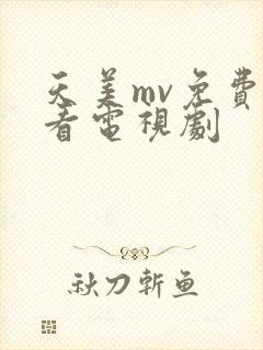 天美mv免费观看电视剧