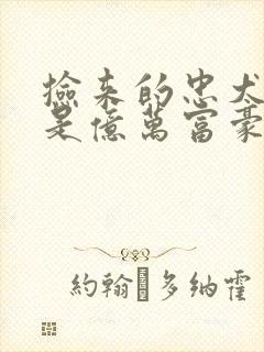 捡来的忠犬老公是亿万富豪