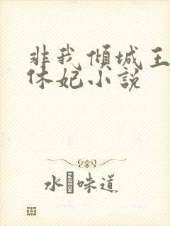 非我倾城王爷要休妃小说封面