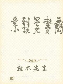 爱到卑微无遗憾小说免费阅读封面