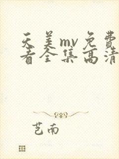 天美mv免费观看全集高清完整版