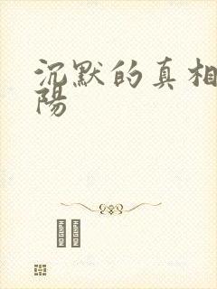 沉默的真相 江阳封面