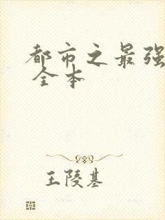 都市之最强狂兵 全本