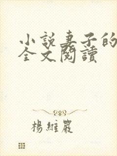 小说妻子的自述全文阅读