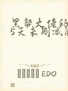 黑帮大佬的365天未删减版