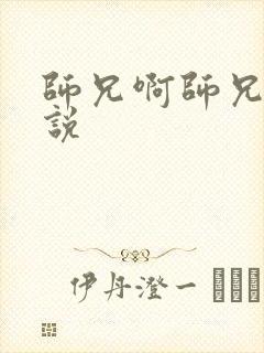 师兄啊师兄的小说封面