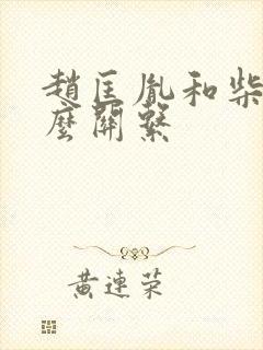 赵匡胤和柴荣什么关系