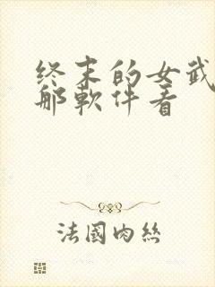 终末的女武神在那软件看