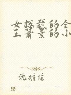 女总裁的全能兵王萧晨的小说