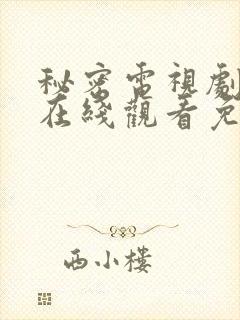 秘密电视剧全集在线观看免费