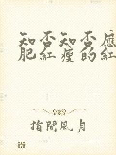 知否知否应是绿肥红瘦的红是什么花封面