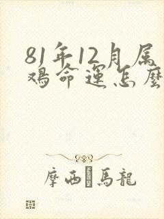 81年12月属鸡命运怎么样呢