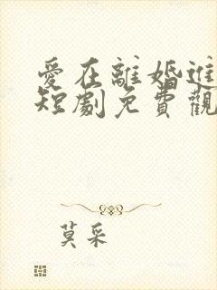 爱在离婚进行时短剧免费观看全集封面