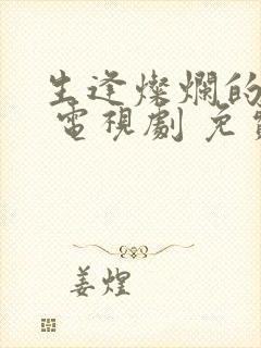 生逢灿烂的日子 电视剧 免费观看