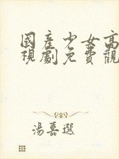 国产少女高清电视剧免费观看