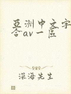 亚洲中文字幕综合av一区