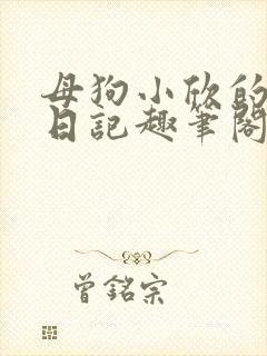母狗小欣的条件日记趣笔阁