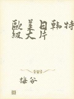 欧美日韩特黄一级大片