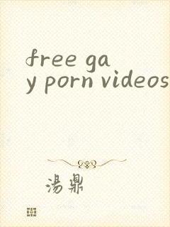 free gay porn videossex