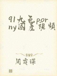 91九色porny国产视频蝌蚪