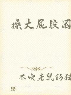 操大屁股国产的封面
