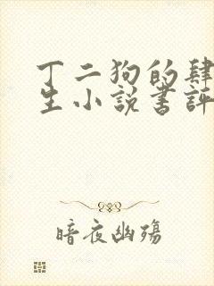 丁二狗的肆意人生小说书评