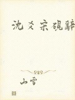 沈爻宋砚辞封面