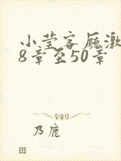 小莹客厅激情38章至50章