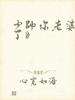 少帅你老婆又跑了》