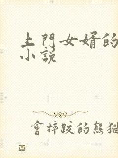 上门女婿的情事小说