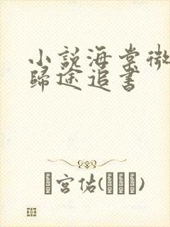 小说海棠微雨共归途追书