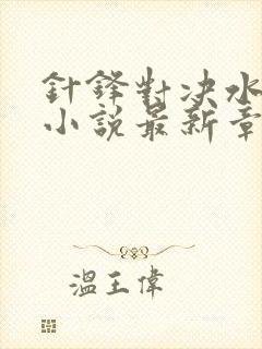 针锋对决水千丞小说最新章节在线