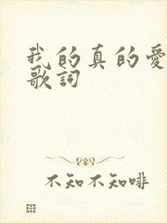 我的真的爱上你歌词