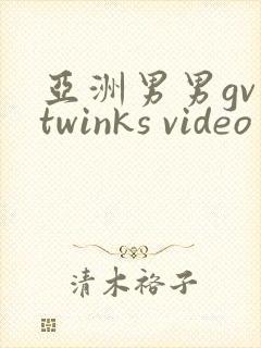亚洲男男gv twinks video