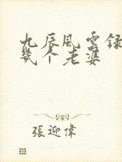 九辰风云录阳辰几个老婆