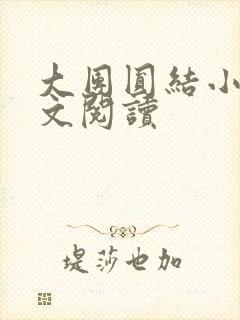 大团圆结小茹全文阅读