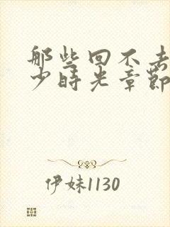 那些回不去的年少时光章节