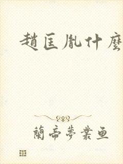 赵匡胤什么关系封面