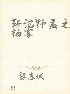靳沉野孟之瑶唐栖雾