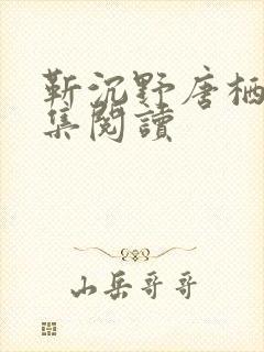 靳沉野唐栖雾全集阅读
